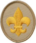 scout badge